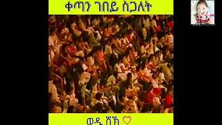 wedi Sheik Eritrea eplf music [upl. by Elacim812]