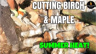 CUTTING BIRCH AND MAPLE FIREWOOD [upl. by Ahsinav]