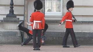 Buckingham Palace guard slips and falls in front of hundreds of tourists [upl. by Diann526]