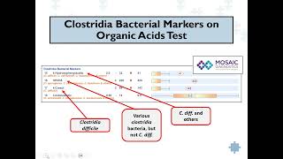 Clostridia Bacteria Induced Disease  More Than a Digestive System Problem Webinar [upl. by Eiramnwad]