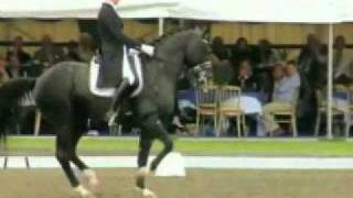 Dressage Dark Horse [upl. by Verdi]