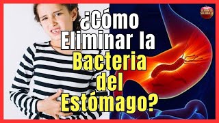 💚 11 REMEDIOS CASEROS NATURALES PARA ELIMINAR HELICOBACTER PYLORI 💚 La Bacteria del Estómago [upl. by Derian]