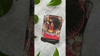 The Minds Eye Tarot Unboxing [upl. by Epoillac771]