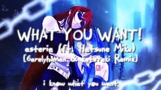 asteria  WHAT YOU WANT 6arelyhuman amp kets4eki Remix lyric video [upl. by Eledoya945]