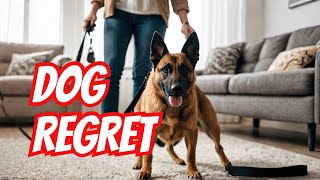 Regretting Buying a Belgian Malinois  My Biggest Mistake Ever  Dog Training [upl. by Novla755]