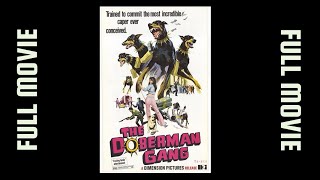 THE DOBERMAN GANG 1972 Byron Mabe Hal Reed Simmy Bow JoJo DAmore • Crime Comedy • FULL MOVIE [upl. by Osmo]