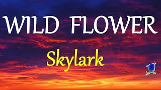 WILD FLOWER  SKYLARK lyrics HD [upl. by Acsicnarf554]