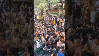 ORANG BALI amp BULE shortvideo bali [upl. by Nagiem98]