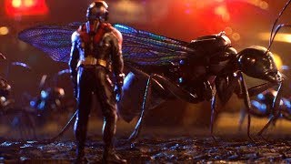 AntMan  Ants Ants AntMan   Promo HD [upl. by Annas882]