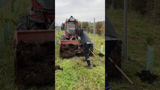 Fertilizing vineyard with compost at Weingut Sattlerhof Austria thewinearound wine compost [upl. by Nap503]