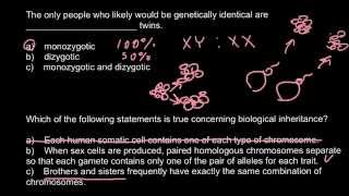 Monozygotic vs dizygotic twins [upl. by Akeemaj]