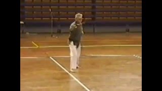 Nicho Sai Matayoshi no Sai Dai Ichi by Sensei Juan Bish Lorenzo 8º Dan Okinawa Kobudo [upl. by Lavery393]