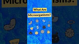 What is a Microorganism foodsafety [upl. by Nahgen545]