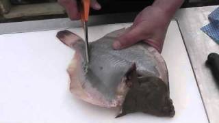 Passionate About Fish  How to skin and prepare a whole plaice [upl. by Reinaldos]