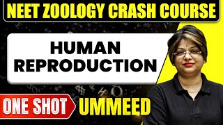 HUMAN REPRODUCTION in 1 Shot All Concepts Tricks amp PYQs  NEET Crash Course  Ummeed [upl. by Port566]