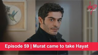 Pyaar Lafzon Mein Kahan Episode 59  Murat came to take Hayat [upl. by Aylad45]