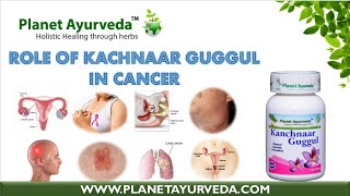 Kachnaar Guggul Cancer Natural Remedies [upl. by Toiboid]