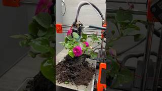 Can you grow plants with a 3D printer 3dprinting plants shorts [upl. by Enos799]