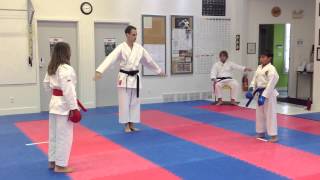 Shotokan Karate Kids Freestyle Kumite  Black Belt vs Brown Belt  IKD Winnipeg at the IDSL 2012 [upl. by Downey]