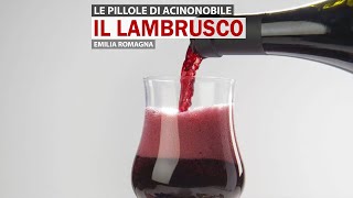 Il Lambrusco  Storia tipologie sentori e abbinamenti [upl. by Bolte]