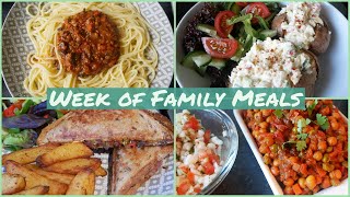 WHATS FOR DINNER  FAMILY MEALS OF THE WEEK  MEAL IDEAS 7 [upl. by Damalas]