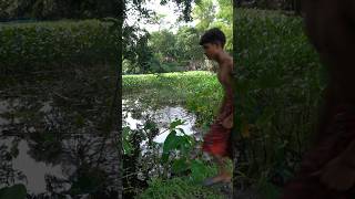 Fish catching shorts fyp fishing fish bigfish [upl. by Sesilu]