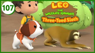 The ThreeToed Sloth  Leo The Wildlife Ranger Episode 107 [upl. by Latsyrhk]