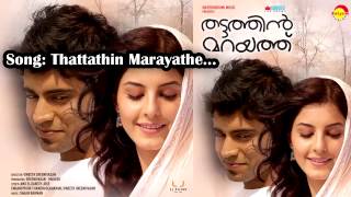 Thattathin Marayathe  Thattathin Marayathu  Sachin Warrier  Shaan Rahman  Anu Elizabeth Jose [upl. by Nydia875]