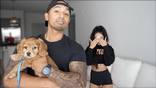 I surprised Girlfriend with a PUPPY Emotional [upl. by Daisi]