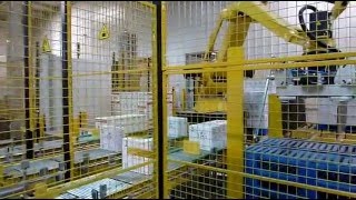 Logiss conveyor for robot palletizer  Preparazione automatica Pallet [upl. by Olenolin573]