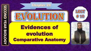 Biology Chapter 24 Evolution lecture No10 Evidences of evolution Comparative anatomy [upl. by Aivin291]