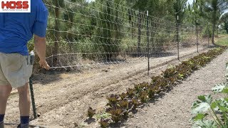 THE EASIEST WAY TO TRELLIS CUCUMBERS POLE BEANS AND MORE [upl. by Attennod391]