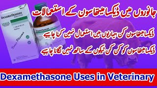 Dexamethasone injection in Veterinary Medicine  Dexamethasone uses  Dexamethasone side effects [upl. by Sirehc]