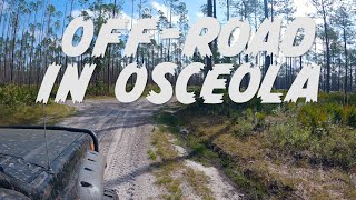 Returning Home to Explore the Florida Adventure Trail  Ocala National Forest Overland by Jeep [upl. by Sivam]