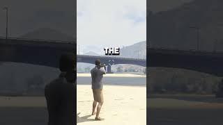 GTA 5 Useless Information shorts [upl. by Akehs]