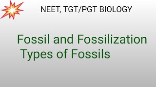 Fossil and Fossilization Fossils Types Neet TgtPgt Biology Notes [upl. by Tterag]