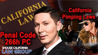 Pimping amp Pandering Laws in California Penal Code 266h amp 266i [upl. by Marcell]