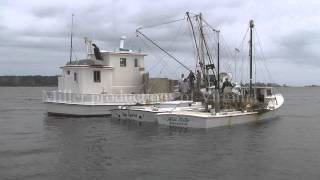 The Delvin K working on the Great Wicomico River [upl. by Neehsuan]