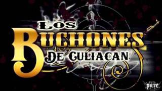 Los Buchones De Culiacan  La Orden Epicenterwmv [upl. by Eidoow]