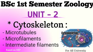 BSc 1st Semester Zoology Unit  2  Cytoskeleton  Handwritten Notes For BSc 1st Semester Zoology [upl. by Oiludbo]