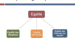 Quelles conceptions de légalité dans les sociétés démocratiques [upl. by Findlay]