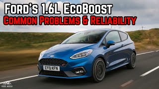 The 16 EcoBoost  Common Problems amp Reliability [upl. by Atener]