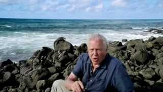 Galápagos with David Attenborough [upl. by Legyn748]