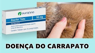 REMÉDIO PARA A DOENÇA DO CARRAPATO [upl. by Bills]