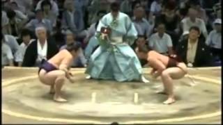 Takanoyama Shuntaro Pavel Bojar simply AMAZING JUDO amp SUMO [upl. by Toiboid883]