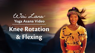 Yoga Sound Meditation Introduction amp Benefits by Wai Lana [upl. by Nnairac]