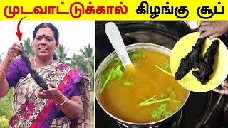 முடவாட்டுக்கால் கிழங்கு சூப்  சைவ ஆட்டுக்கால் சூப்  Mudavattukaal Kizhangu Soup Powder Recipe [upl. by Ahsinak]