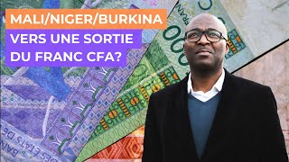 NigerMaliBurkina Faso  Vers une sortie du Franc CFA Quels scénarios  Martial Ze Belinga [upl. by Leidba]