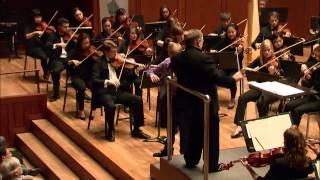 Ludvig Gudim  Menuhin Competition 2014  Junior Finals Part 2 [upl. by Needan568]