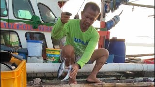 Tahimik at payapa ang dagat bago dumating ang unos kaya ng huli na kami ng mga pang ulam bago umuwi [upl. by Easlehc]